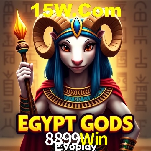 Interface Premium 8899Win