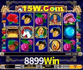 Promoção Relâmpago 8899Win